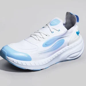 Begin Walk - Cruise : White-Blue